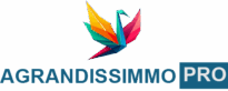 Agrandissimmo Pro